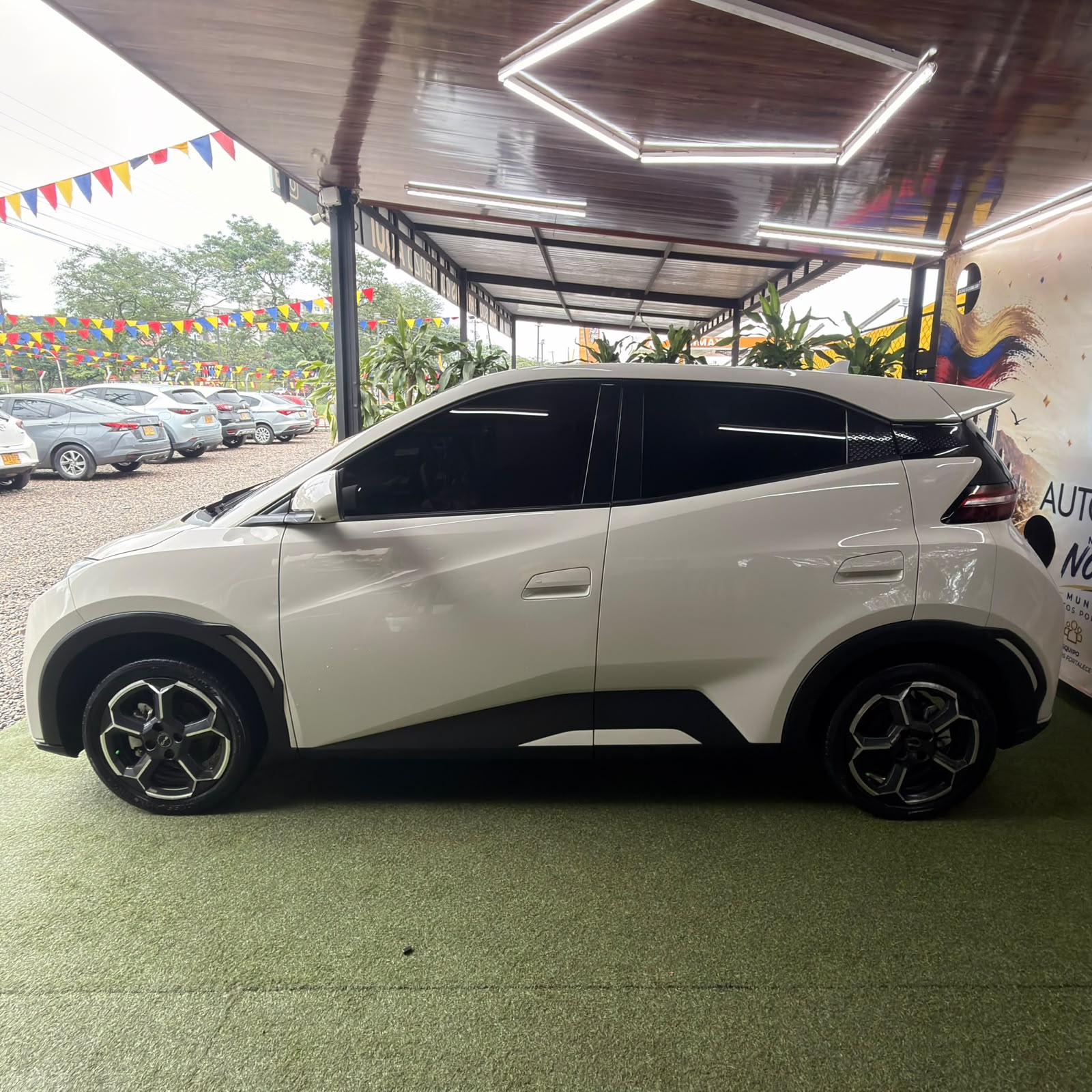 BYD SEAGULL 2025