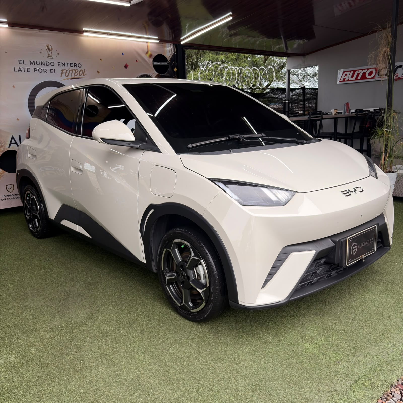 BYD SEAGULL 2025