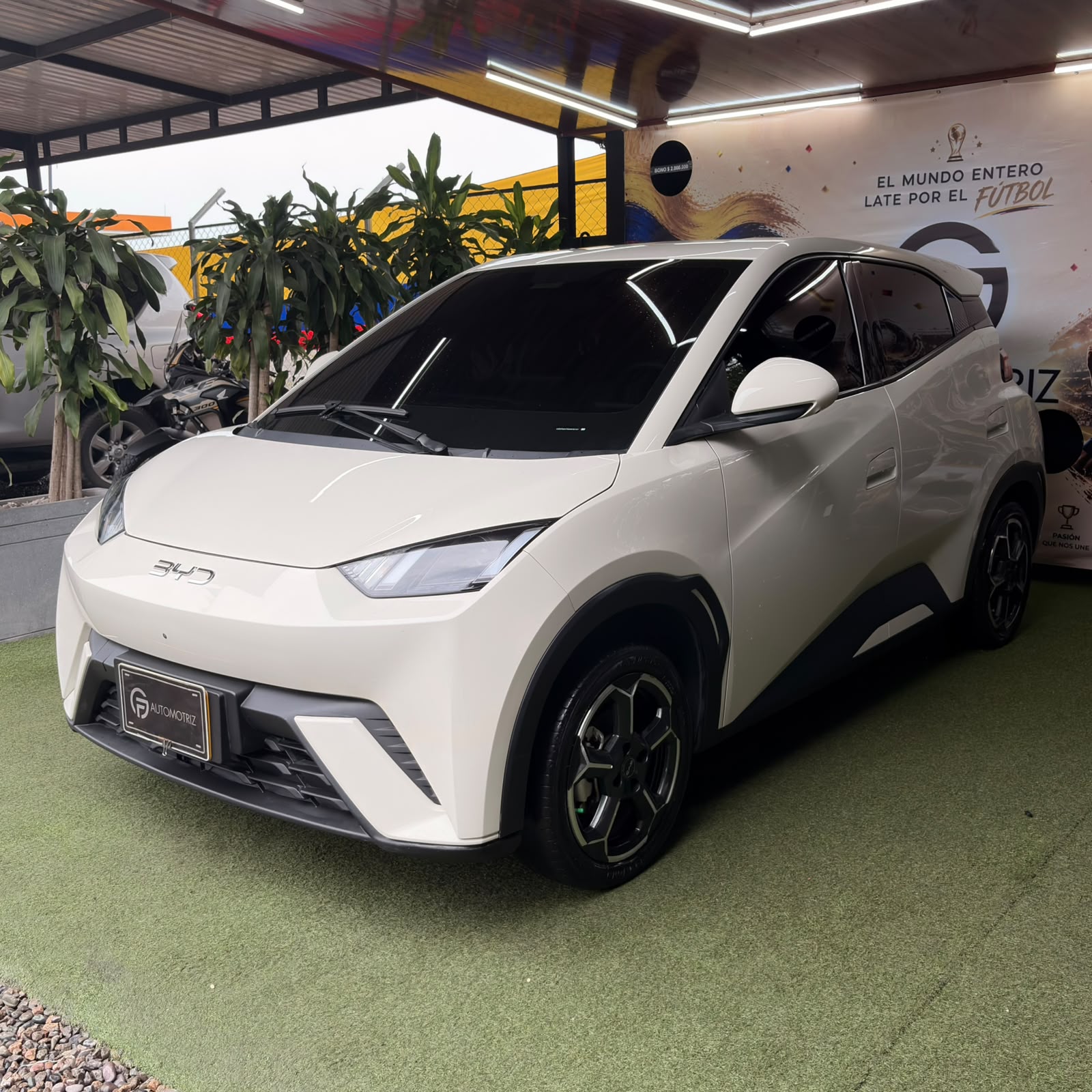 BYD SEAGULL 2025
