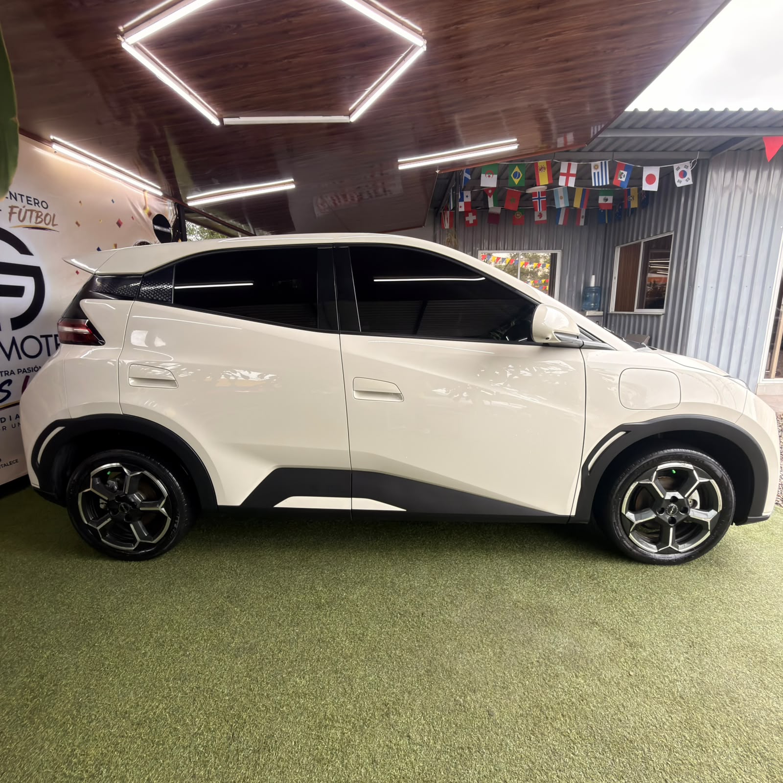 BYD SEAGULL 2025